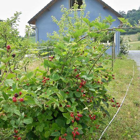 Chambres D'Hotes Relais Milord Estialescq Exterior foto